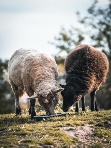 La Maison au bord du Lac Hotel in Centre-Val de Loire