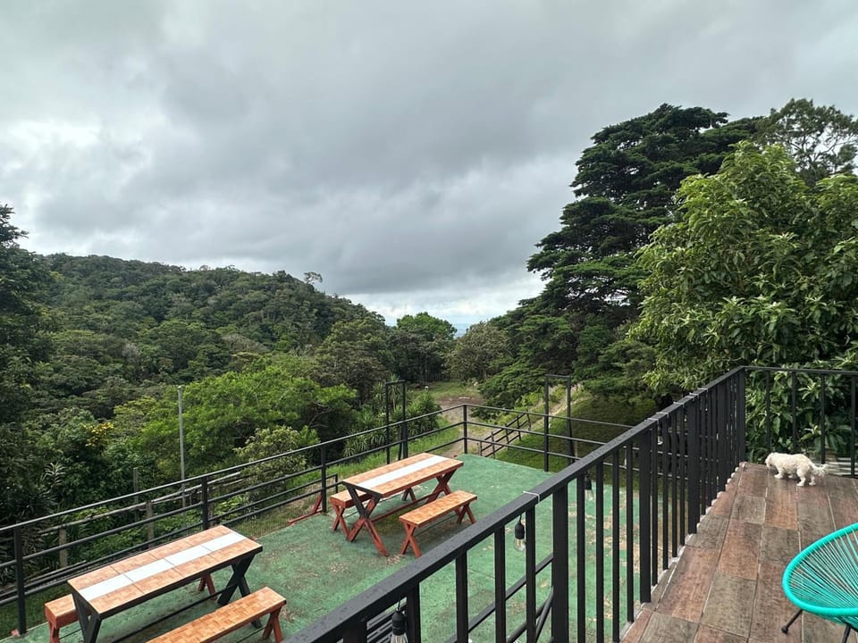 Monteverde Monkey Hostel Hostel in Monteverde