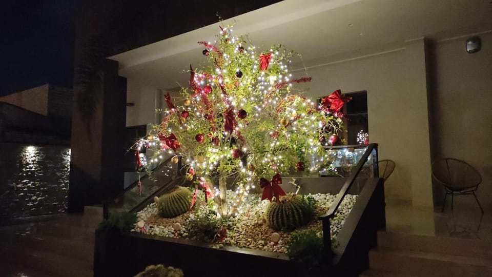 B&B Villa Grace Hotel in Bari