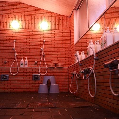 Hayashi Annex Hotel in Japan