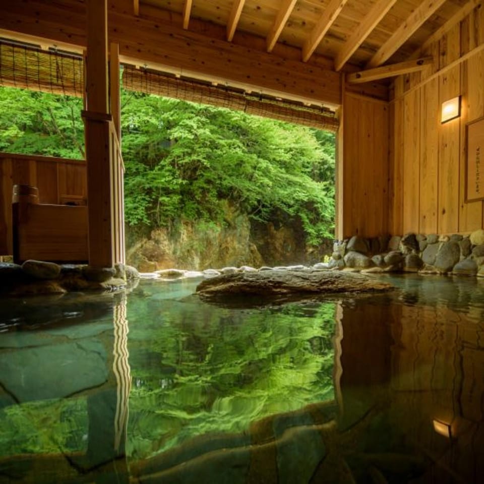 Yunohanaso Hotel in Japan