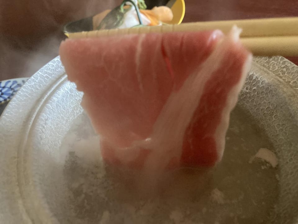 Iizaka Onsen Hanataki Hotel in Japan