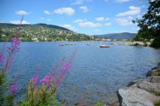Chalet Vosgien  Hotel in Gérardmer