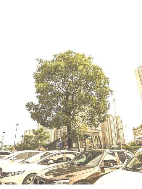 Hangzhou  mingzuo  business hotel Hotel in Hangzhou