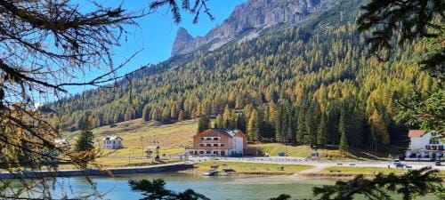 Chalet Alpenrose Hotel in Trentino-South Tyrol