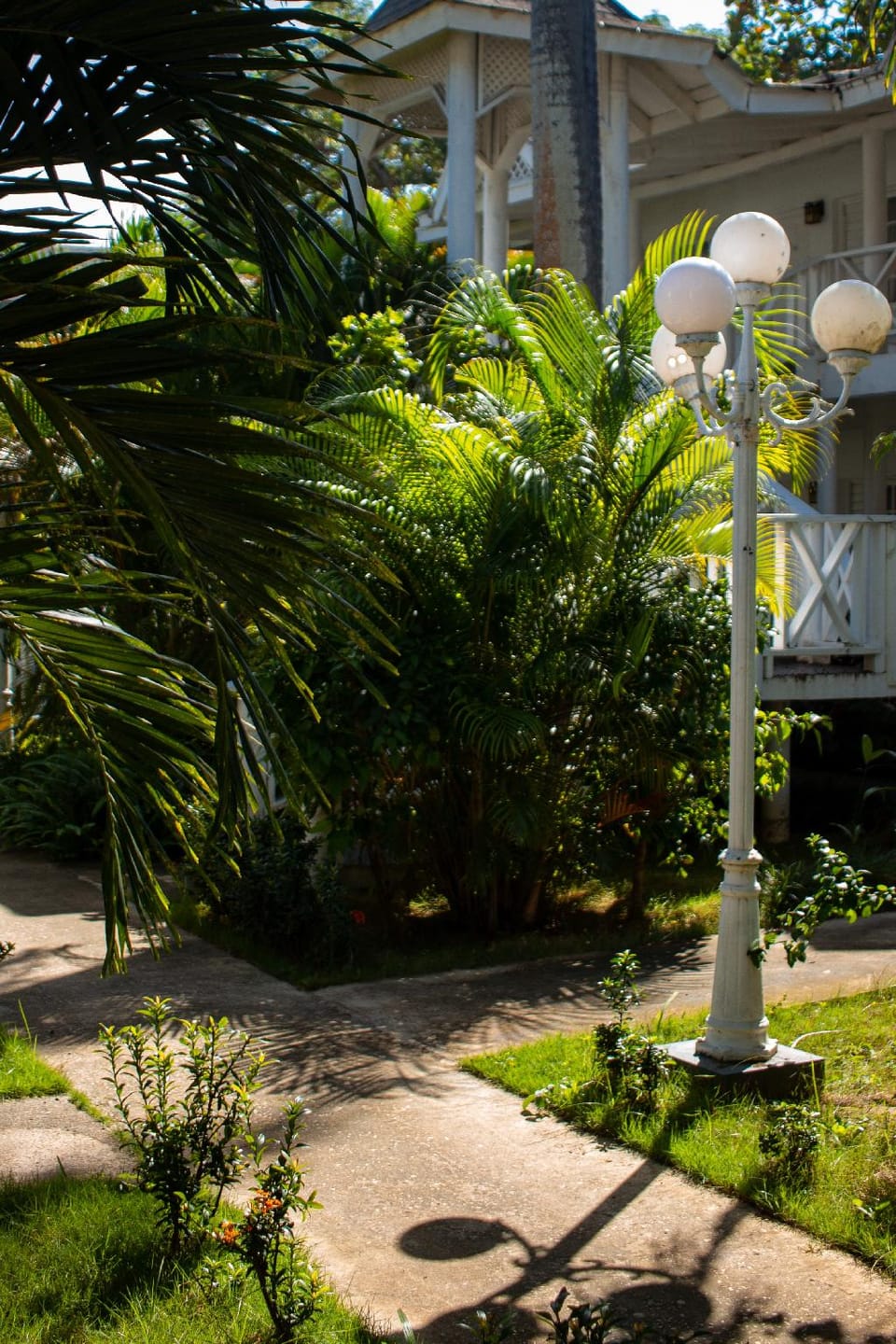 Merrils Deluxe Hotel in Westmoreland Parish