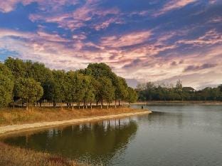 Yinlin Villa Resort Hotel in Nanjing