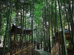 Yinlin Villa Resort Hotel in Nanjing