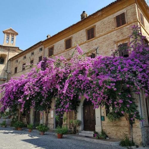 ATTICO SULLA BOUGANVILLE (Albergo diffuso) Hotel in Marche