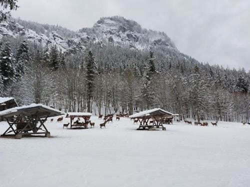 Haus Muhlgraben Hotel in Berchtesgadener Land