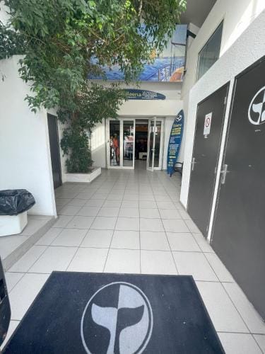 Balaena hebergement Hostel in Marseille