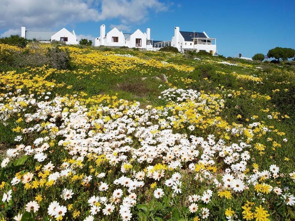 Surrounding environment