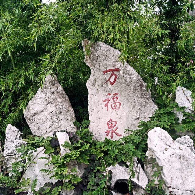 Wanfu Spa Holiday Hotel Hotel in China