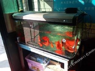 Yongsheng Hostel Hotel in Shanghai