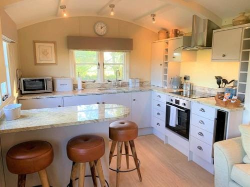 Luxury Shepherds Hut with Superb Views & Fire Pit & walking distance to a superb Gastro Pub Lodge in West Devon District