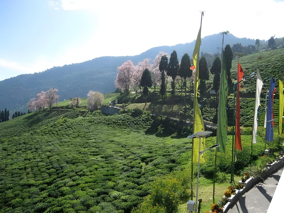 Surrounding environment
