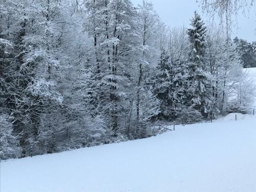 B&B Neuses am Brand Hotel in Thuringia, Germany