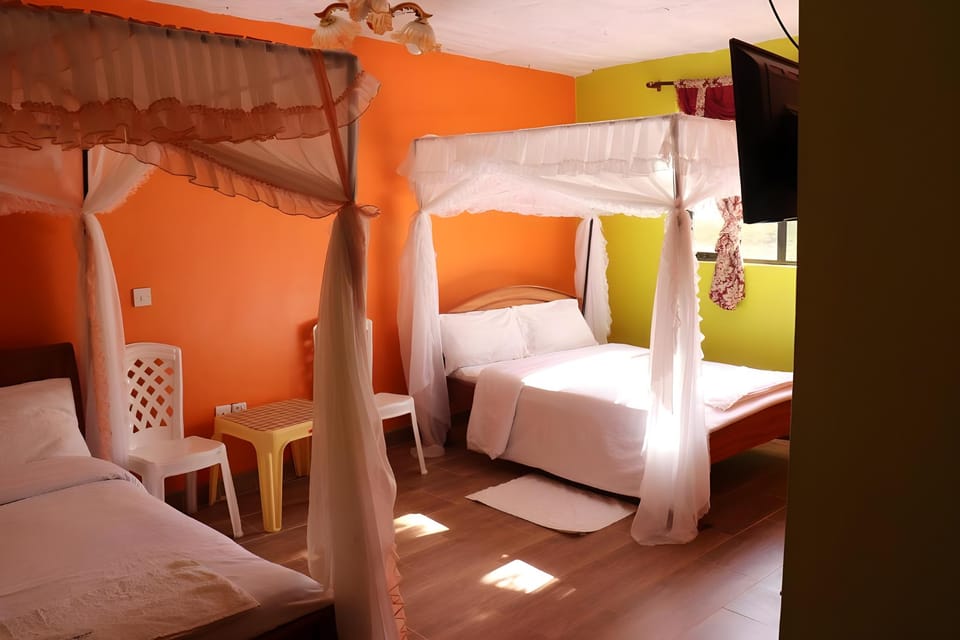 Bed