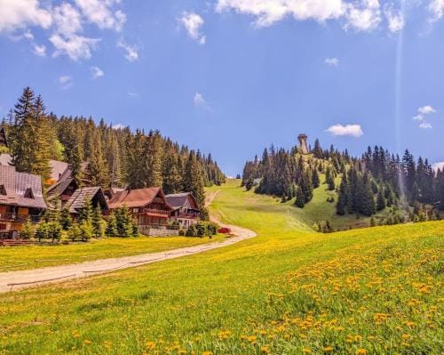 Hotel Villa Ugar Vlasic Hotel in Federation of Bosnia and Herzegovina
