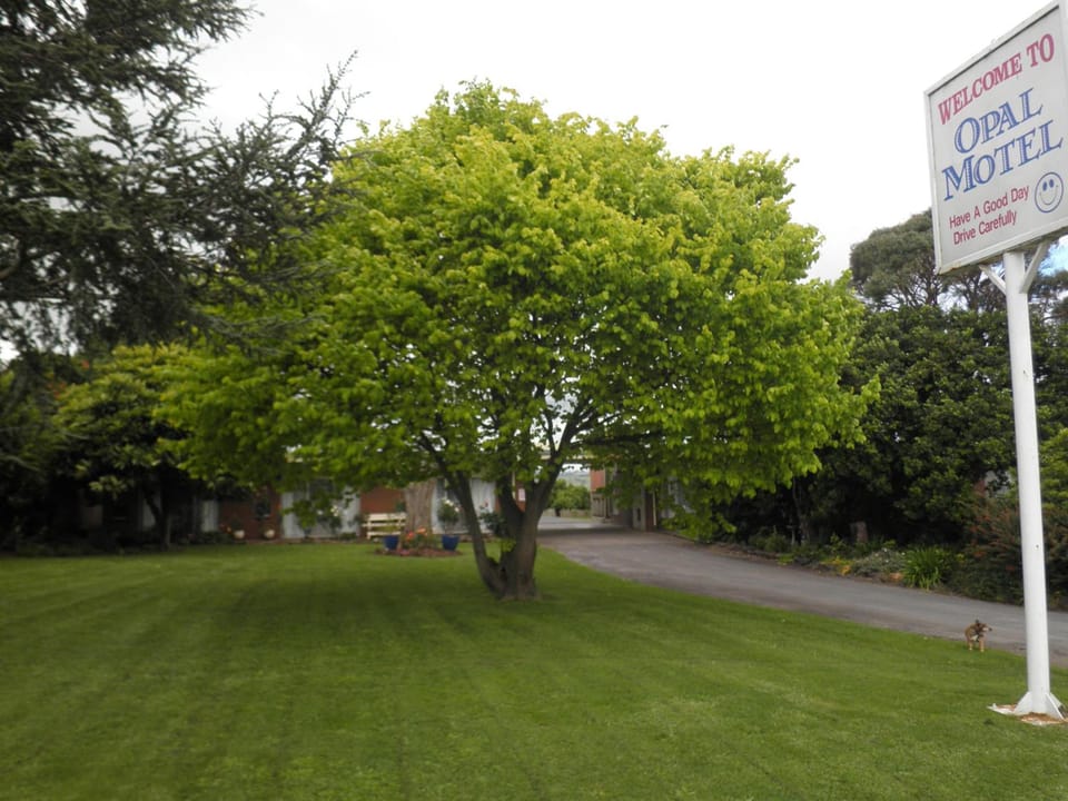 Opal Motel Motel in Leongatha