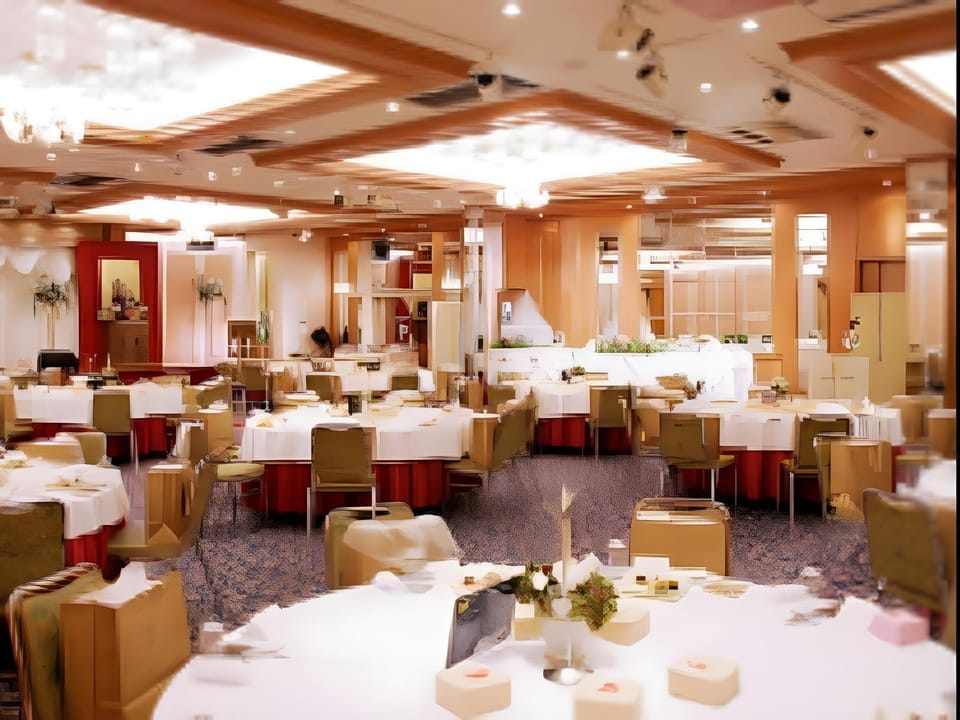Leo Plaza Hotel Hotel in Japan