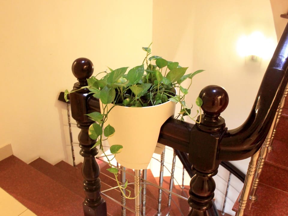 Giang Son 2 Hotel Hotel in Ho Chi Minh City