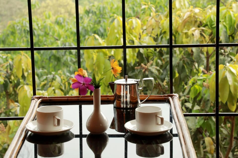 Planet Green Plantation Resorts Resort in Kerala