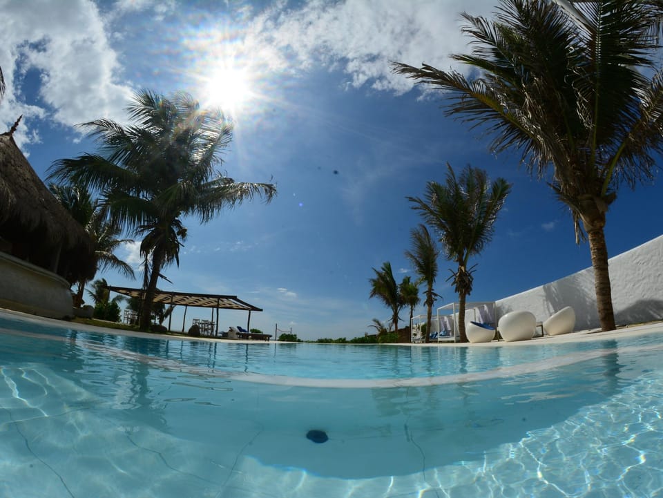Dolphin Beach Resort Resort in Sri Lanka