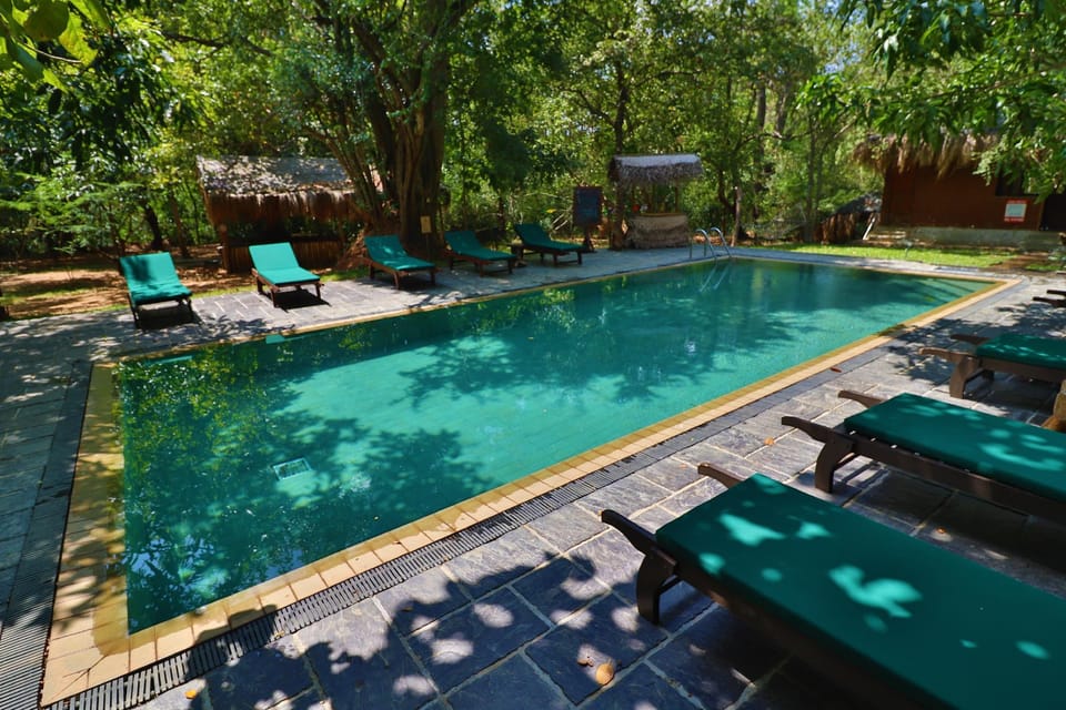 Swimming pool [outdoor]