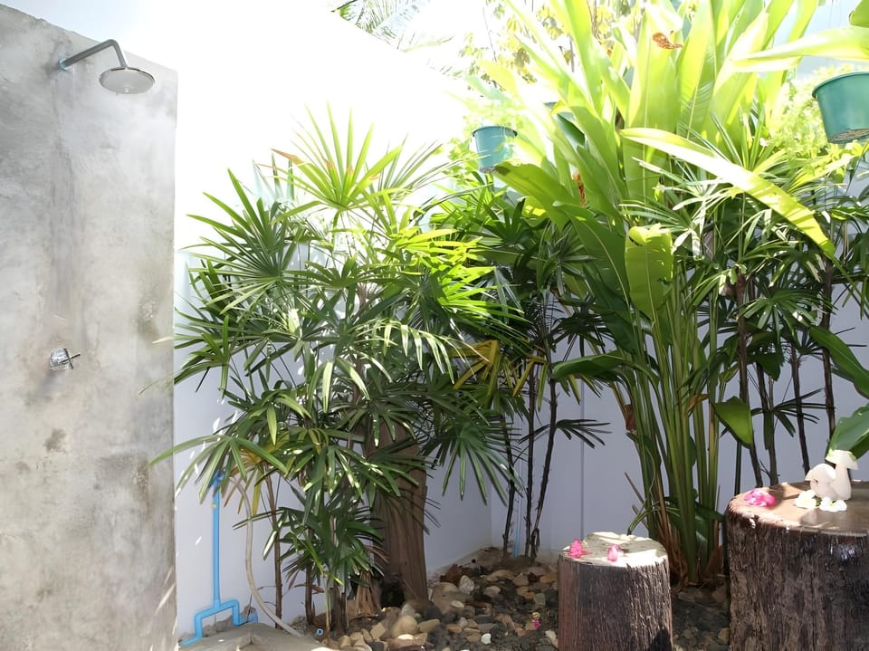 Surrounding environment
