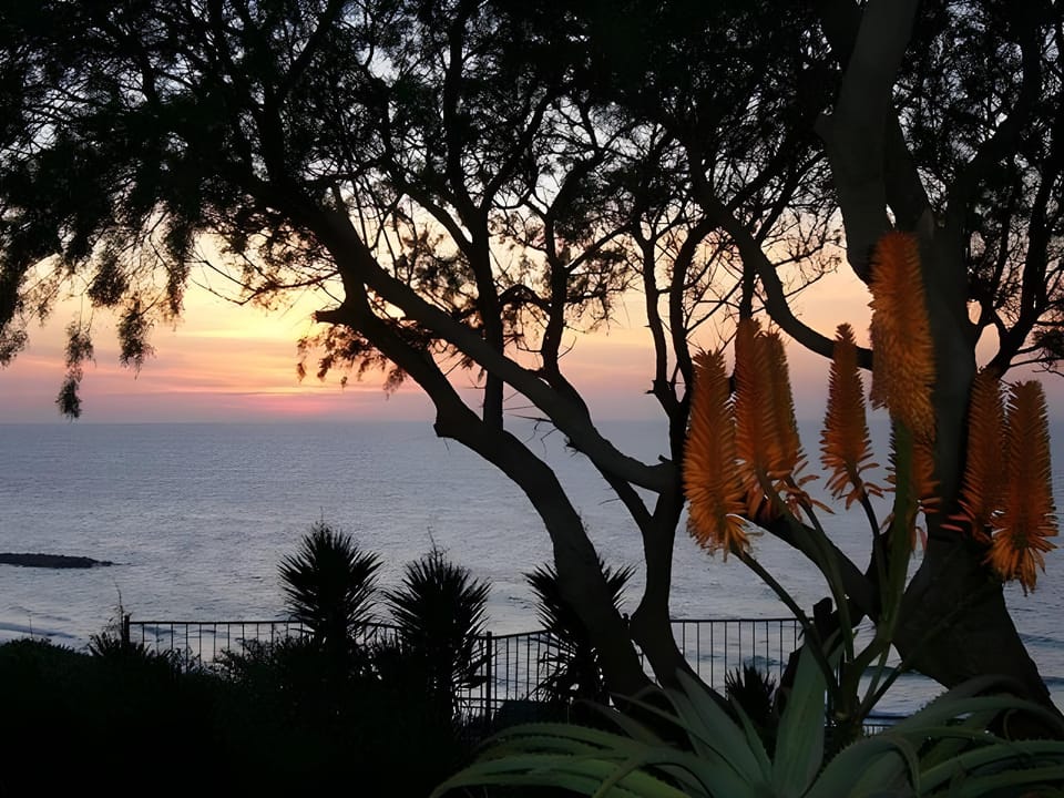 Carmel Hotel Hotel in Netanya