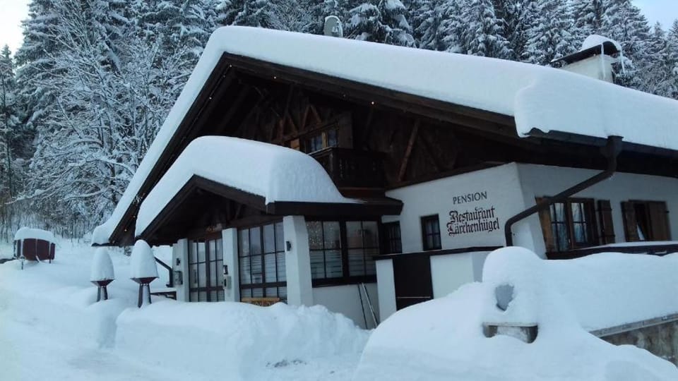 Landhotel Larchenhugel Hotel in Tyrol