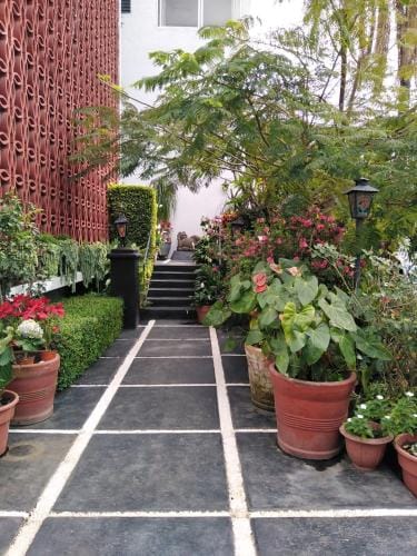 Gal - Habitaciones Confortables Hostel in Cuernavaca