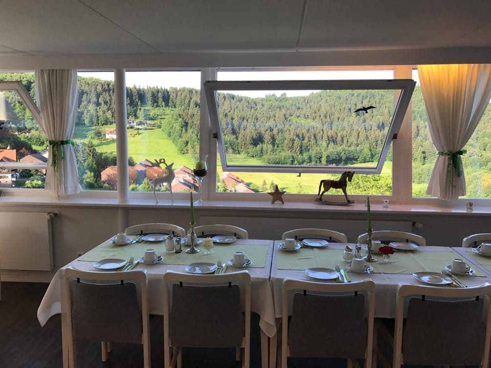 Hotel-Berggasthof Schwarzwaldperle Hotel in Ortenau