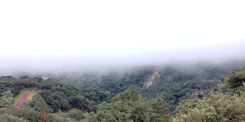 Hotel Roseville Hotel in Chignahuapan