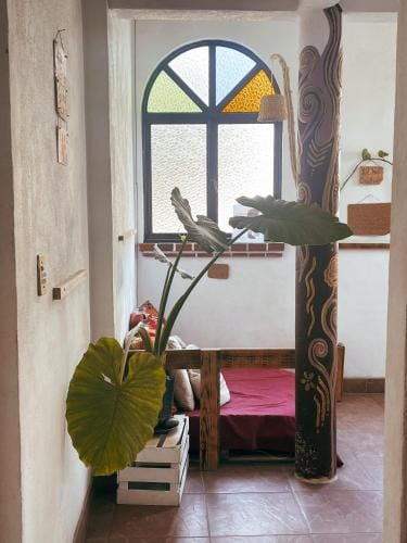 Mi Atardecer en Tepoz, Hostal Hotel in Tepoztlan