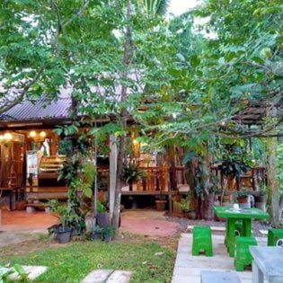 Suankafae Resort สวนกาแฟรีสอร์ท Resort in Surat Thani Changwat