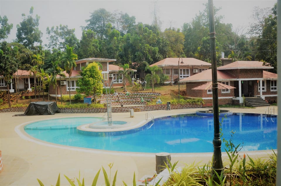 Swimming pool [outdoor]