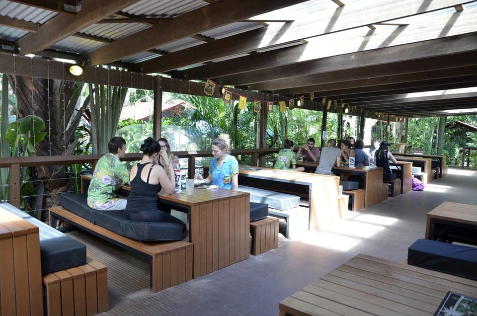 PKs Jungle Village Hostel in Cape Tribulation