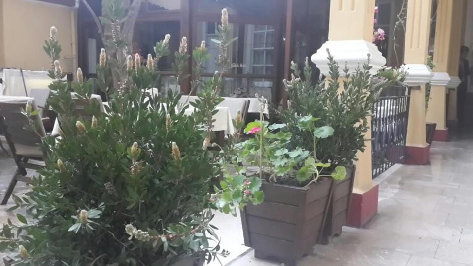 Antikhan Hotel Hotel in Izmir