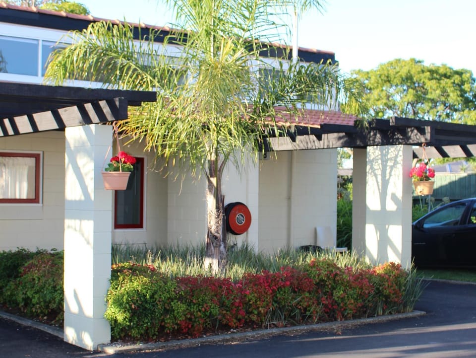 Fernmotel Motel in Napier