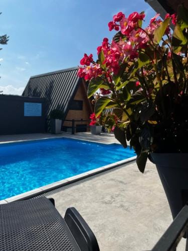 Cool House and Pool, Banja Vrujci Hotel in Serbia