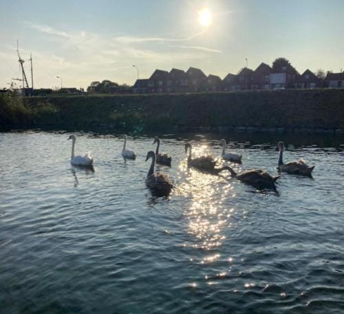 B&B Tholen Hotel in Zeeland, Netherlands