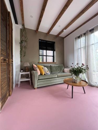 Guesthouse Rotterdam, tinyhouse nearby Kralingen Hotel in Rotterdam
