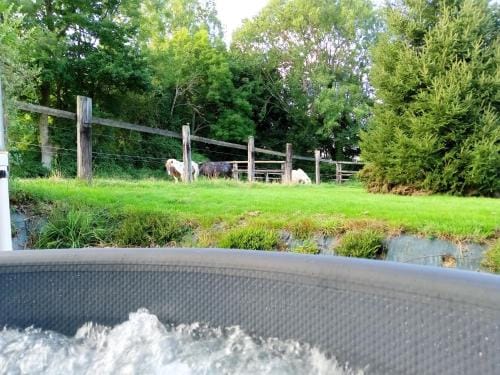 Relais equestre du Miloir - chambres d'hotes Hotel in Normandy