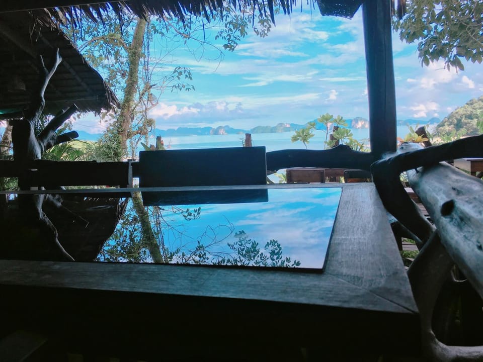 View
