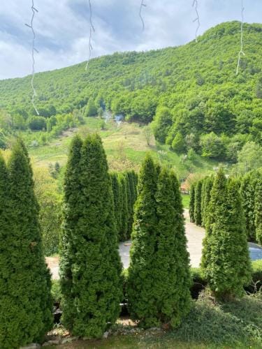 Casa dintre Brazi Hunedoara Hotel in Serbia