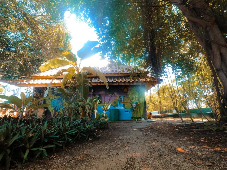 MoovInn Garden Guesthouse Hostel in Ko Tao