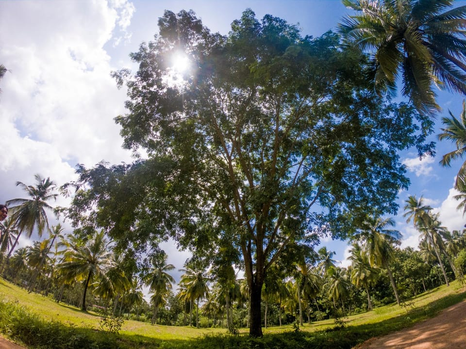 Ahas Pokuna Holiday Resort Resort in Sri Lanka
