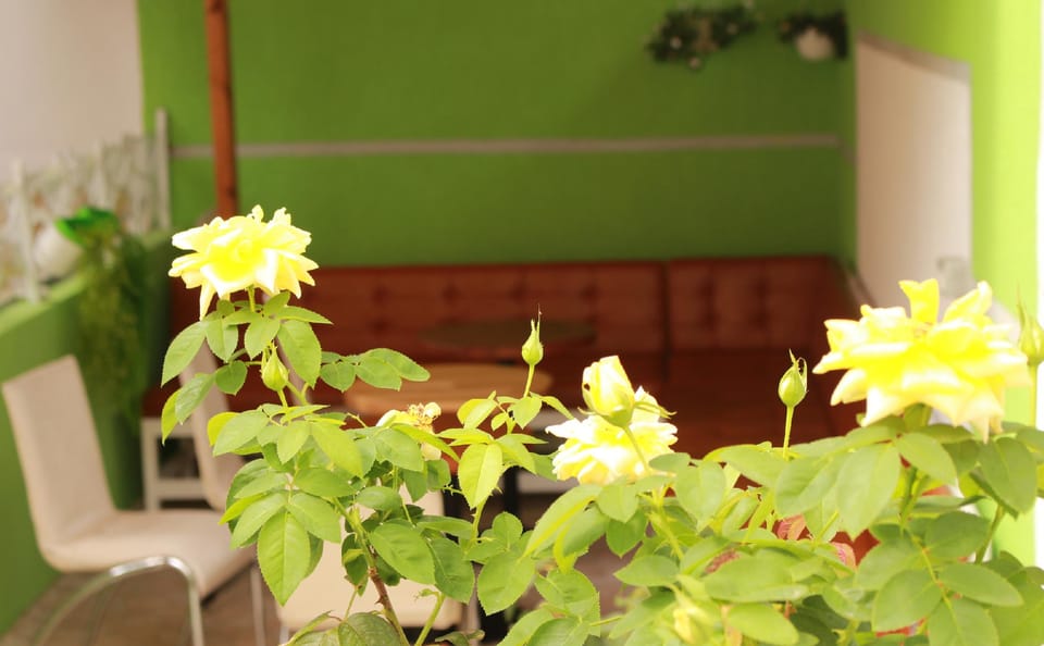 Theranda Boutique Hotel Hotel in Tirana